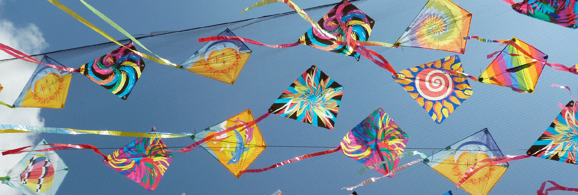 Diều trẻ em - Vietnam Kites