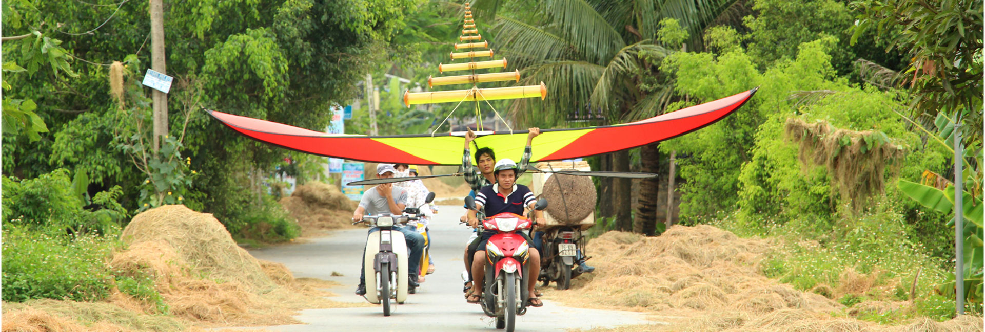 Diều Sáo Việt Nam