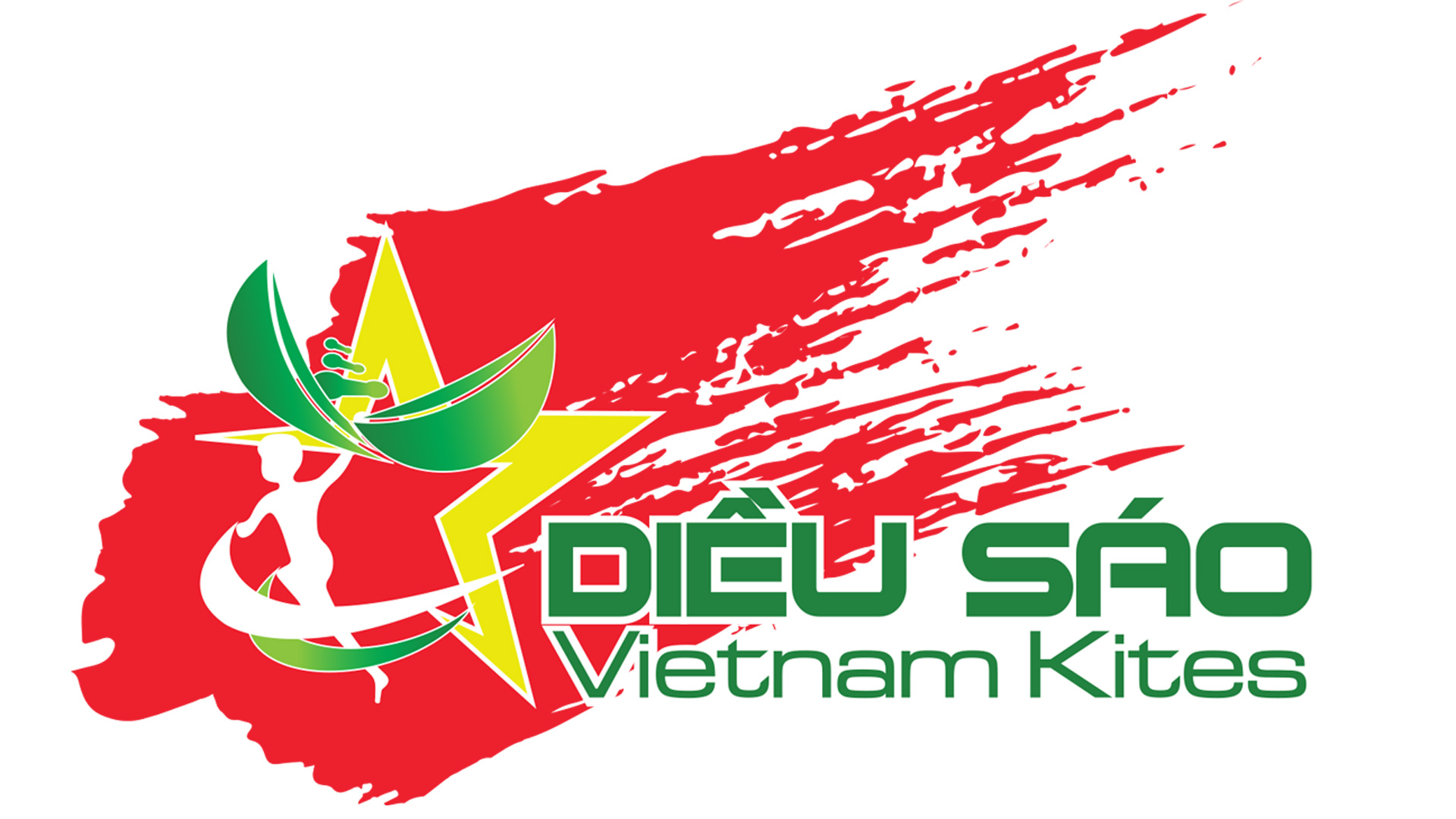 Vietnam Kites