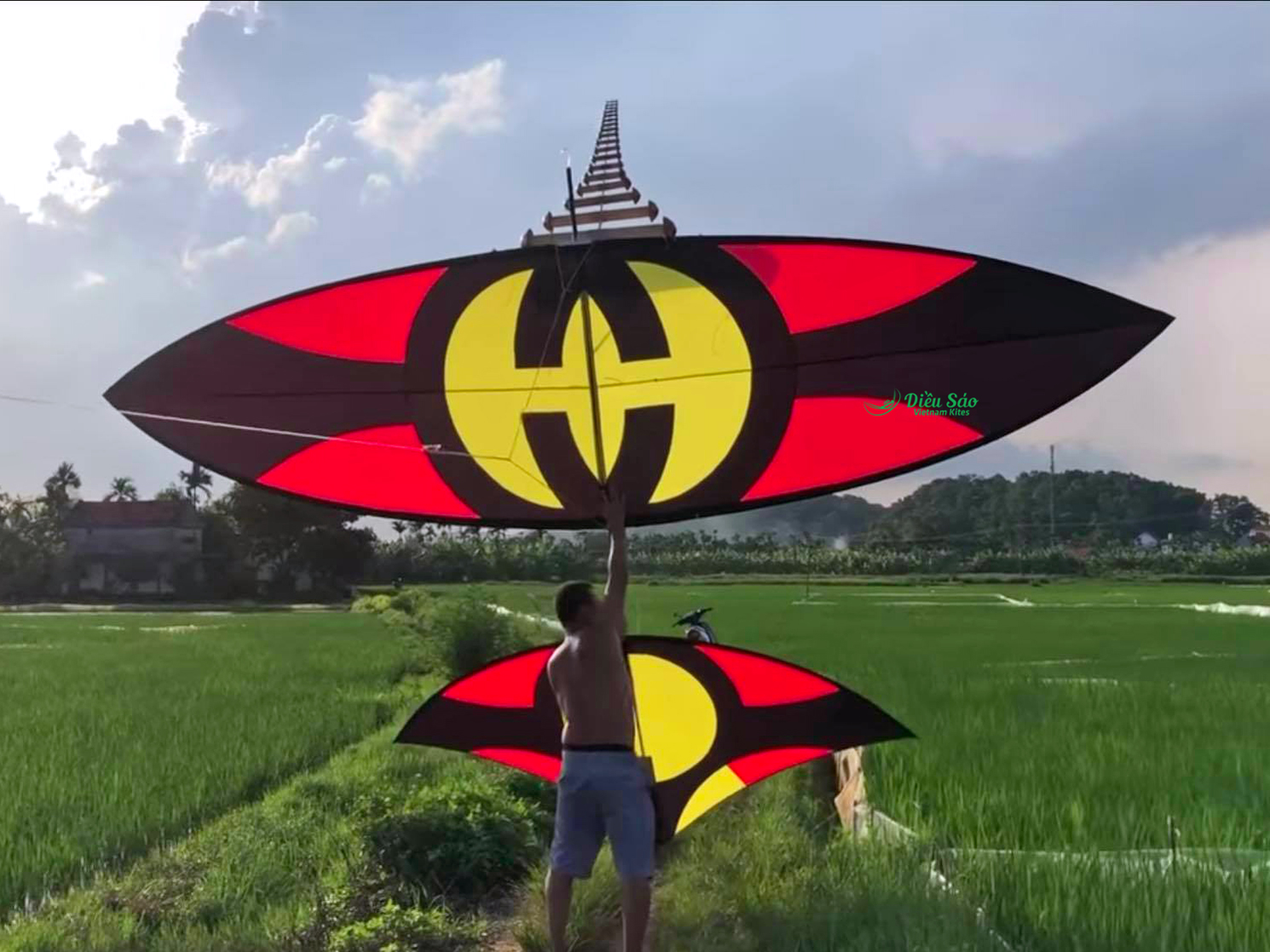 Diều carbon 5m2 đuôi cá - Vietnam Kites | Shop Diều